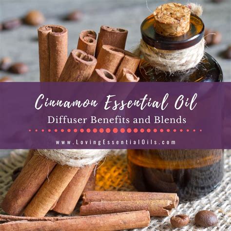 Cinnamon Essential Oil For Diffuser