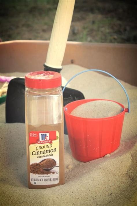 Cinnamon In The Sandbox