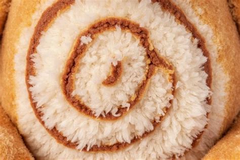 cinnamon roll bear