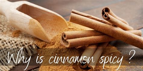 cinnamon spicy