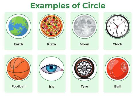 Circle Shape With Example