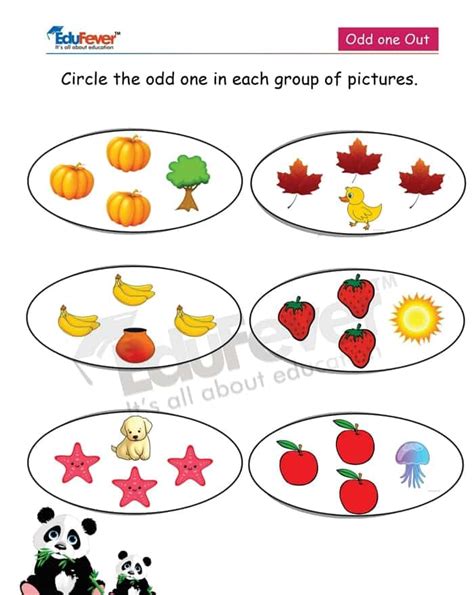 circle the odd one out examples with answers pdf