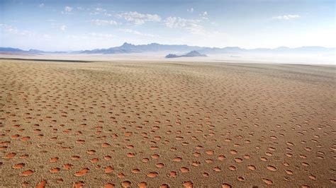 Circles In Desert