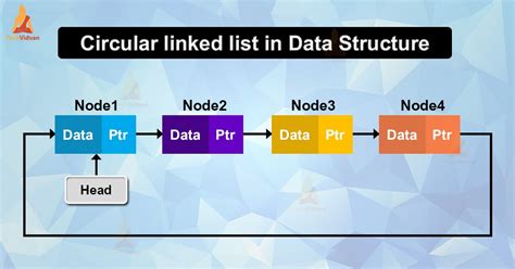 circular linked list in data structure and algorithm