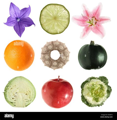 Circular Objects'' In Nature