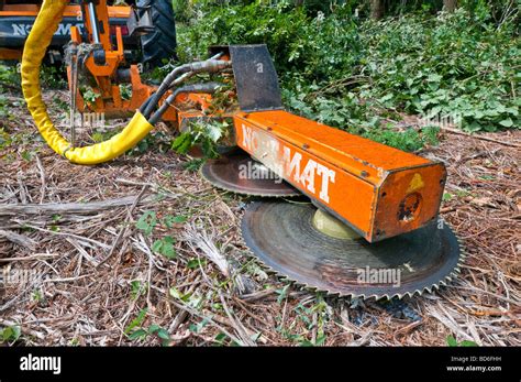 Circular Saw For Cutting Trees