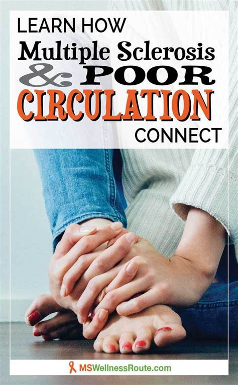 Circulation Problems Ms