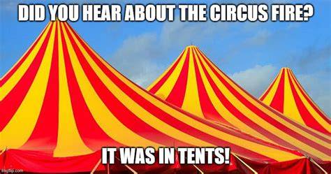 Circus