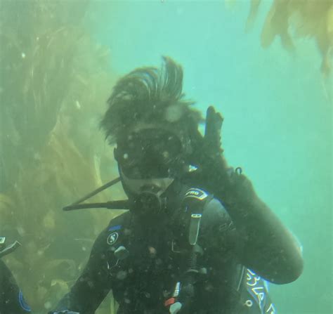 CIS 5480 Introduction Guide