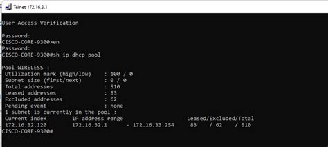 cisco show dhcp pool