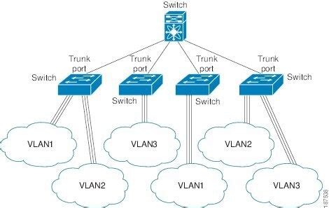 Cisco Trunk Configuration