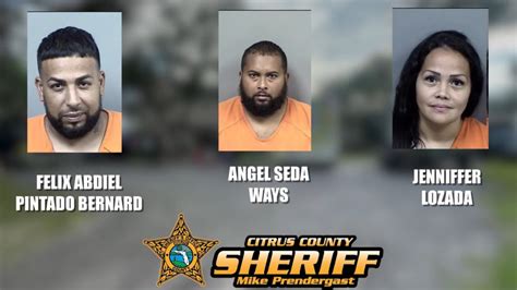 citrus arrest reports