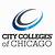 city colleges of chicago subsidiaries