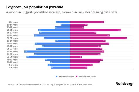 city of brighton mi population