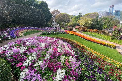 city of brisbane parks