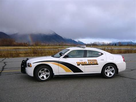 city of palmer alaska police department