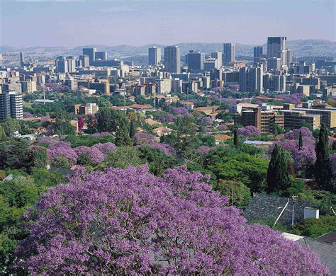 city of tshwane south africa