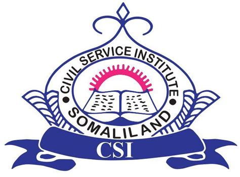 civil service institute csi