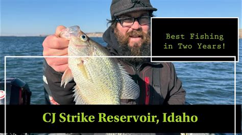 cj strike fishing
