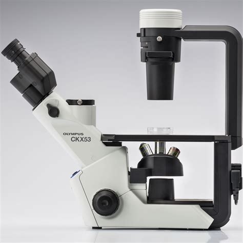 Ckx53 Cell Culture Microscope