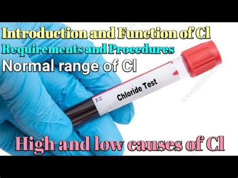 Understanding Your CL Blood Test Results: What Do They Mean for Your Health?