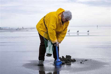 Clam Digging Dates