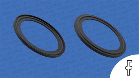 Clamp Gasket Iso 2852