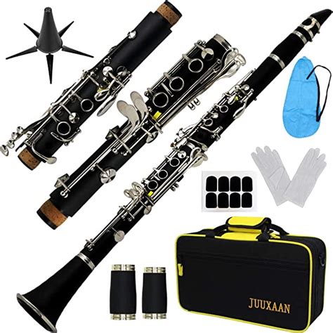 Clarinet Beginner Vs Professional