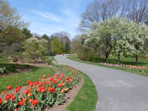 Discover The Beauty Of Clark Botanical Gardens In 2023