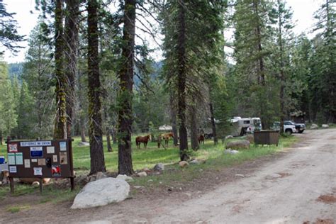 Clark Fork Campground Ca