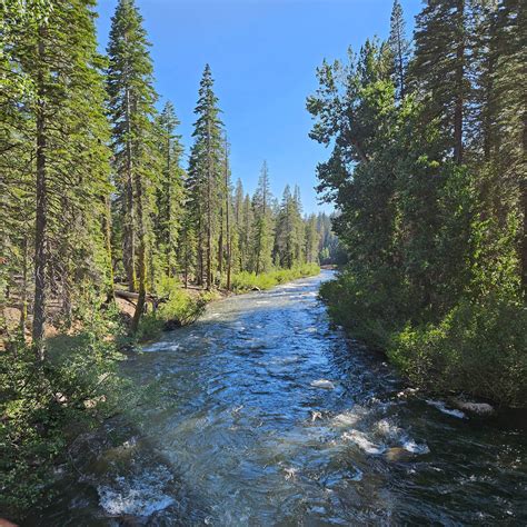 Camping at Clarks Fork: Exploring Wyoming's Scenic Beauty at Clarks Fork Campground