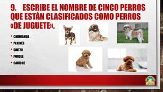 Como Hacer Un Anuncio De Se Busca Perro Noticias del Perro