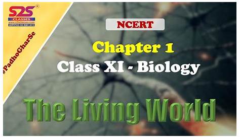 Ncert Solutions Class 12 Biology Chapter 5 Principles Of Inheritance