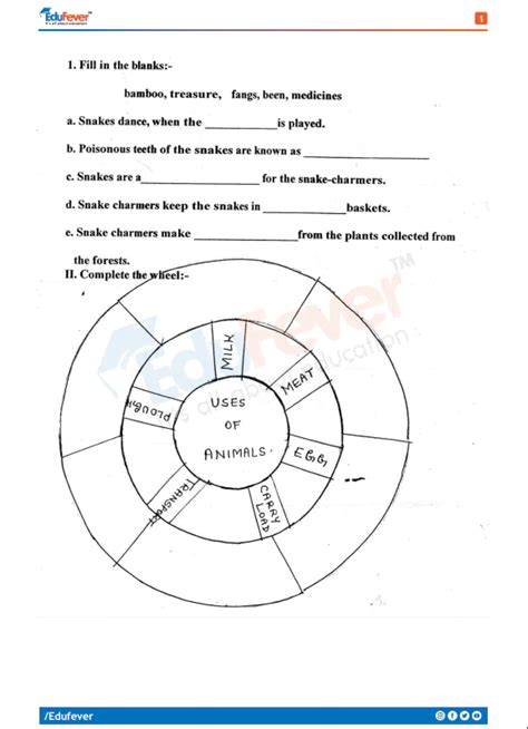 class 5th evs chapter 1 worksheet with answers pdf