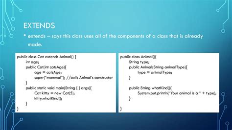 Class Cat Extends Animal Which Is Not A Valid Declaration