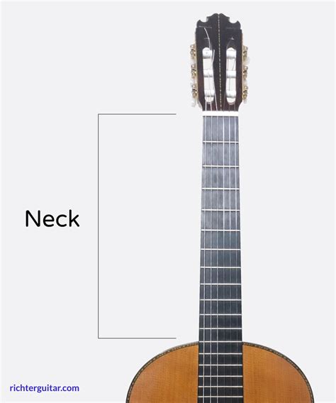 Classical Guitar Neck Profile