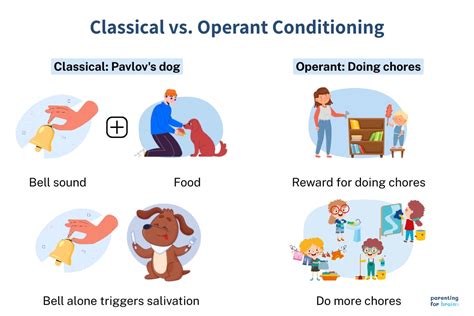 classical vs operant conditioning examples quizlet
