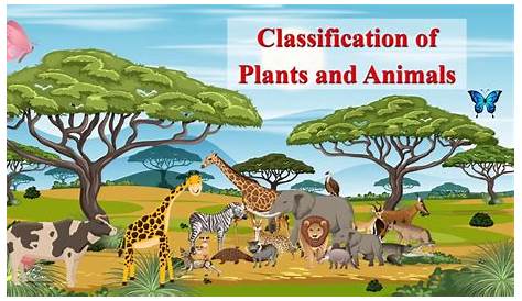 Classification Of Plants And Animals In Hindi Endangered Poster Endangered Activities Endangered Endangered Lessons