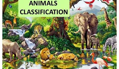 Classification Of Plants Animals Powerpoint Editable Science Lessons Elementary Fourth Grade Science 5th Grade Science Projects