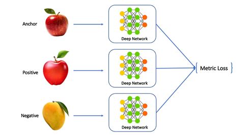 classification model examples