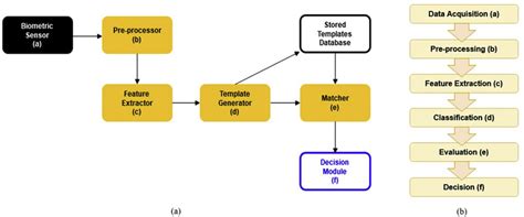 Classification Of Biometric System