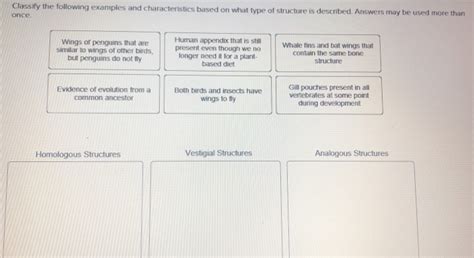 Classify The Following Examples And Characteristics Based On What Type Of Structure Is Described