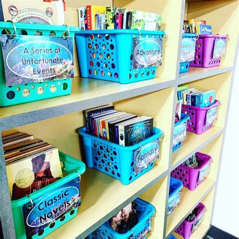 Classroom Library Baskets