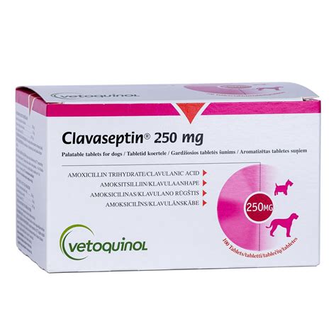 Clavaseptin Hund 50 Mg Clavaseptin Stockfotos Und Bilder Kaufen Alamy