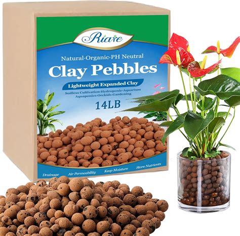 Clay Growing Pebbles