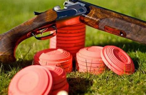 clay pigeons for shooting