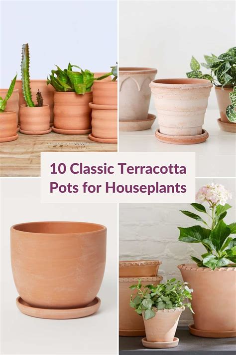 Clay Pots For Plants - Decorative And Durable