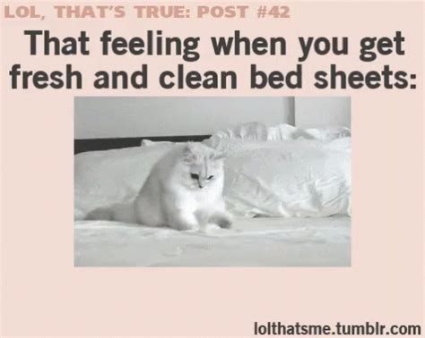 Clean Bed Sheets Gif