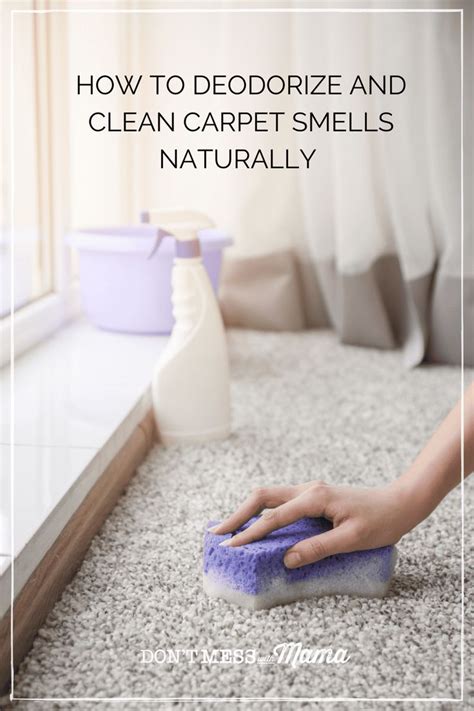 Clean Carpet Odor