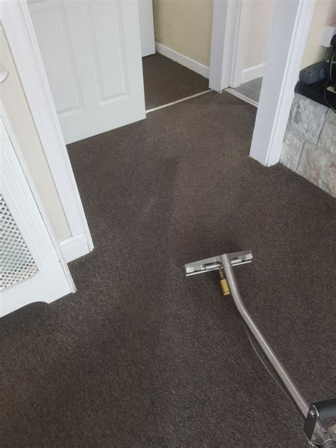 clean carpets plymouth england